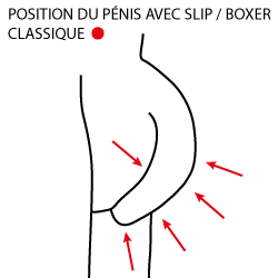 position du pénis avec slip classic